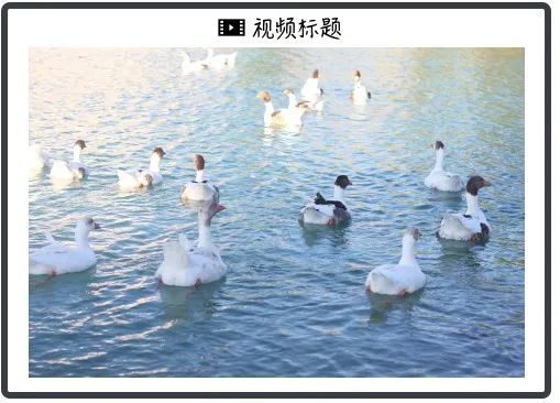 详解特斯拉机器人“擎天柱”